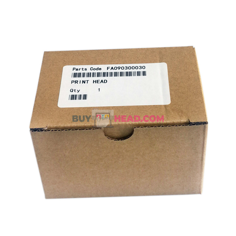 Original Epson TX600 print head dessembled