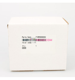 Epson DX7 Print Head (F189010 Unlocked Dessembled with Scraches)